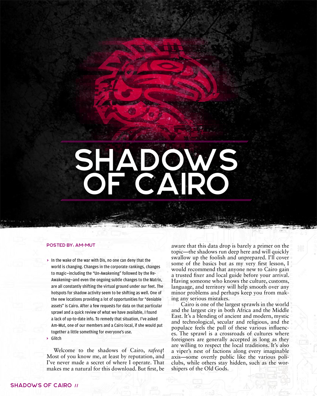 Shadowrun: Risks & Rewards