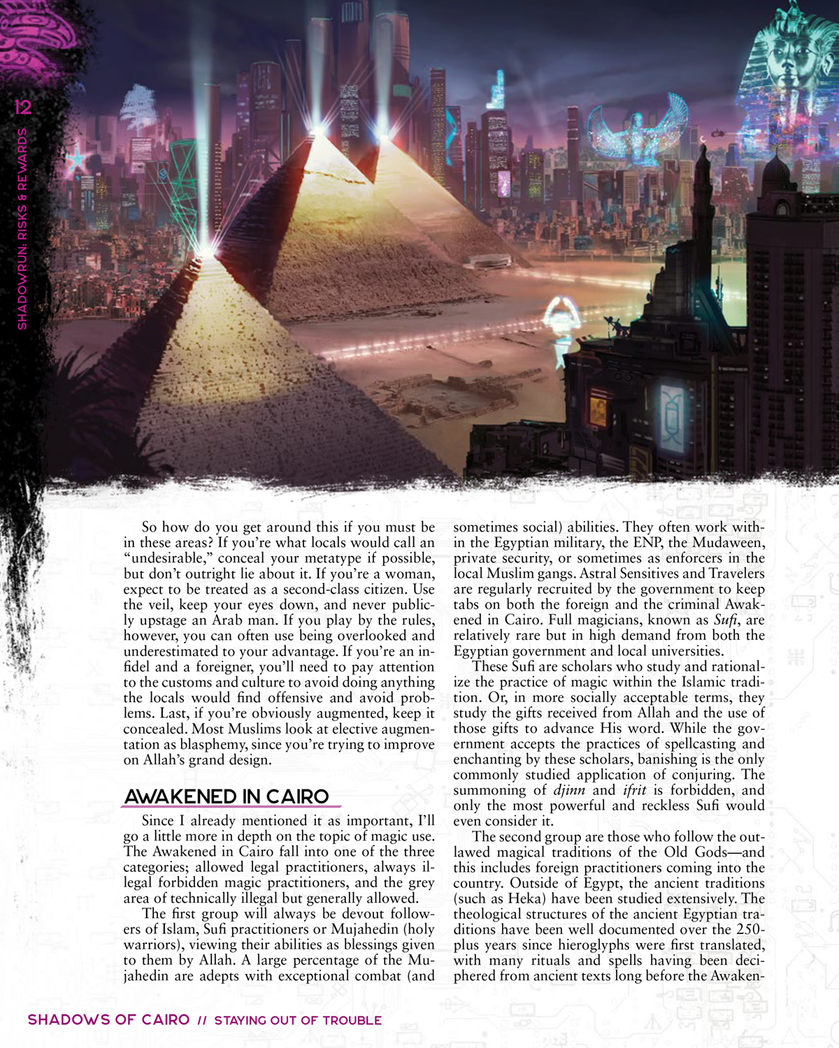 Shadowrun: Risks & Rewards