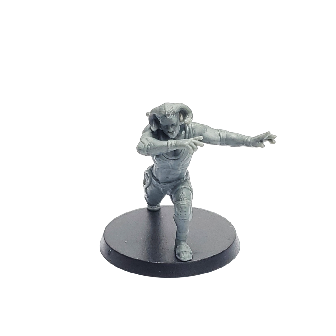 Shadowrun: Controlled Chaos Miniatures