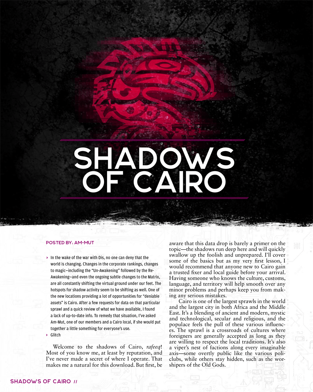 Shadowrun: Risks & Rewards