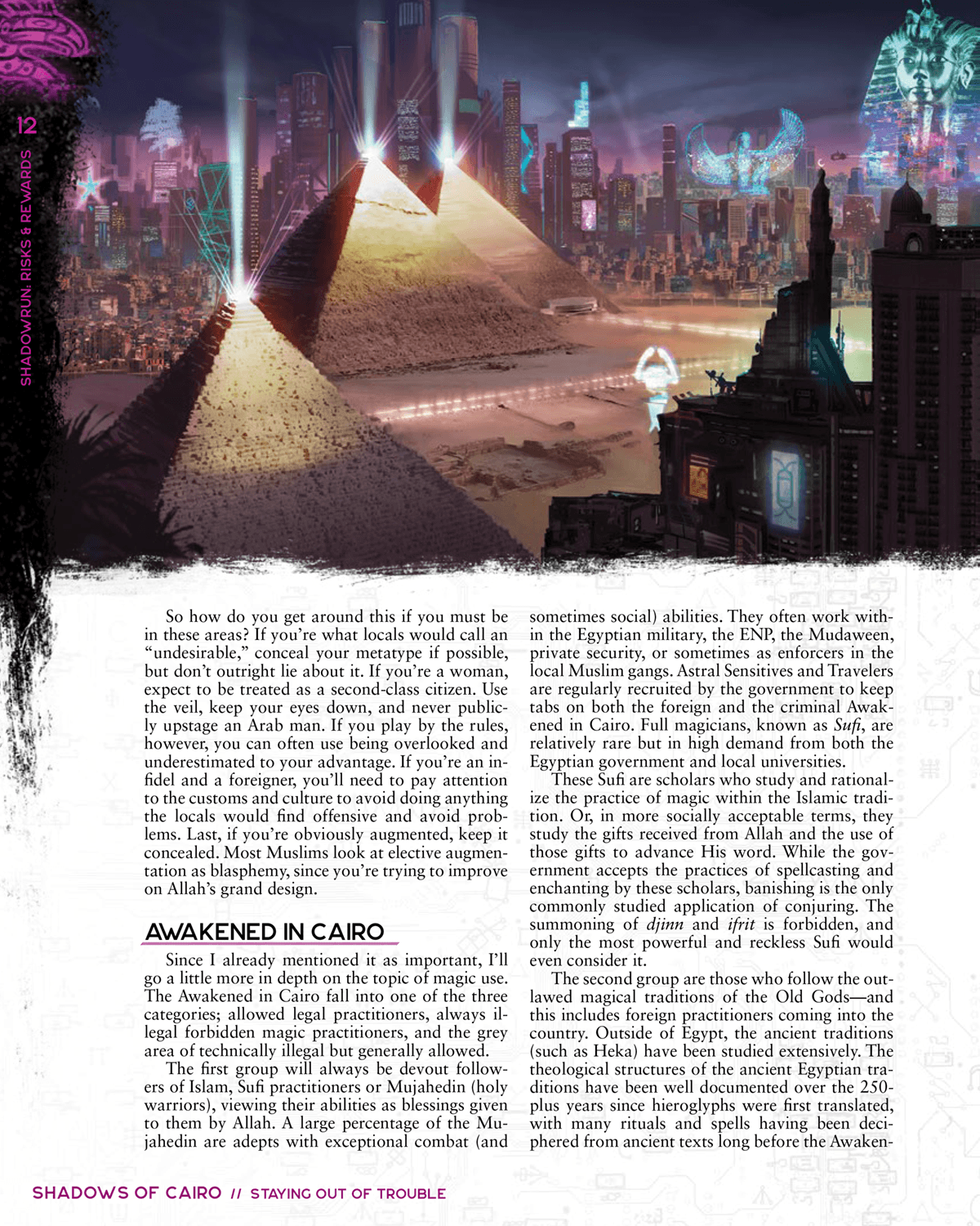 Shadowrun: Risks & Rewards